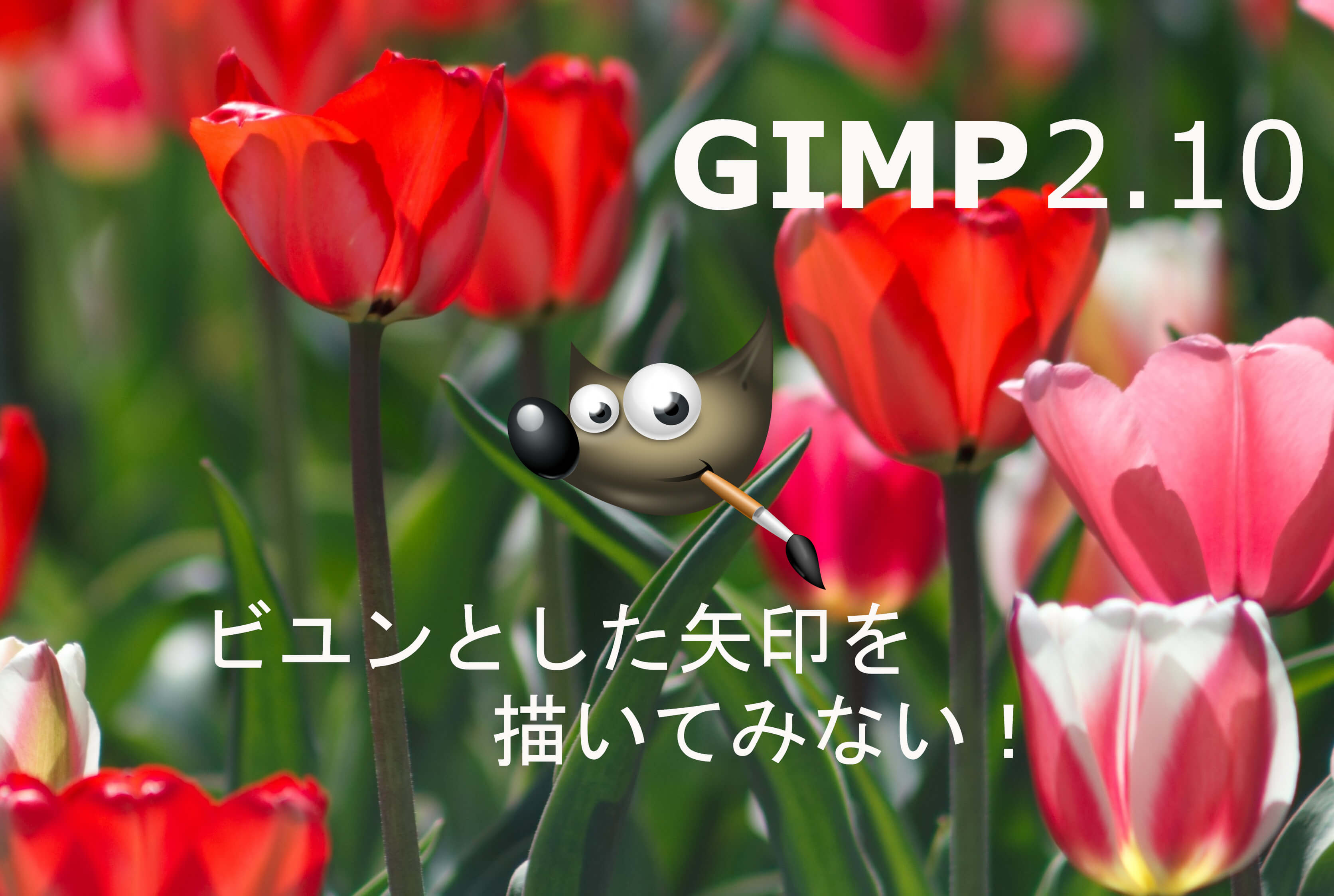 gimp2.10 